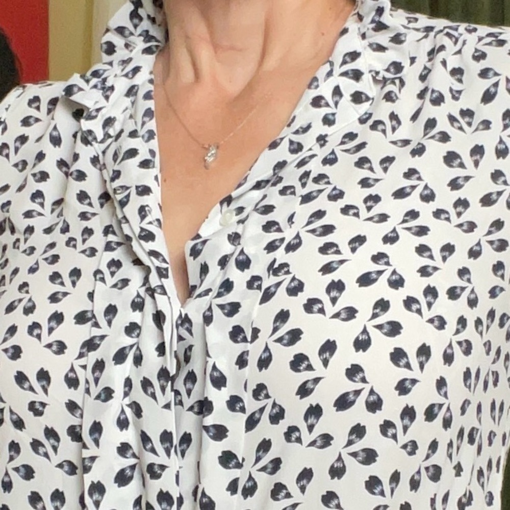 🎉🌺HP for Everything Petite Posh 🎊 🎉 Ann Taylor Petite button front blouse - Picture 2 of 11